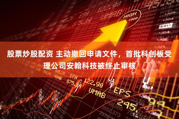 股票炒股配资 主动撤回申请文件，首批科创板受理公司安翰科技被终止审核