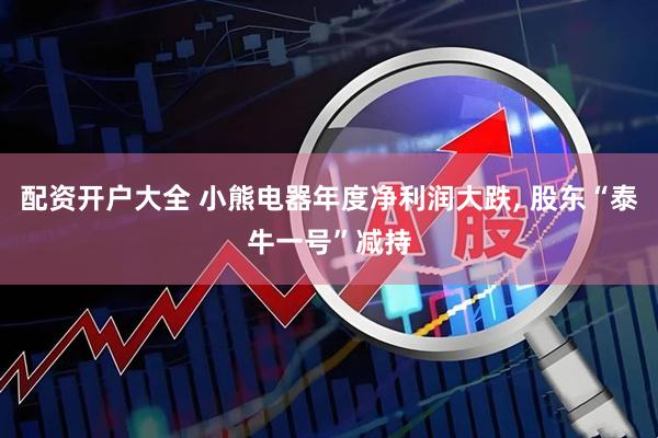 配资开户大全 小熊电器年度净利润大跌, 股东“泰牛一号”减持